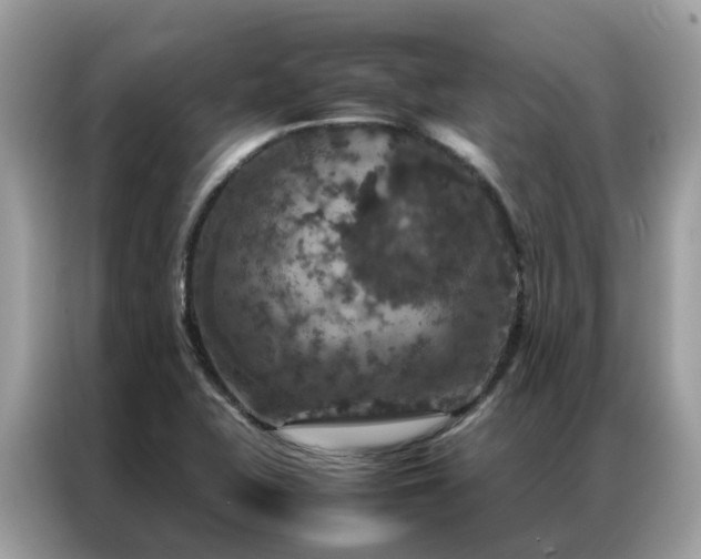 X0000087371415200704271447