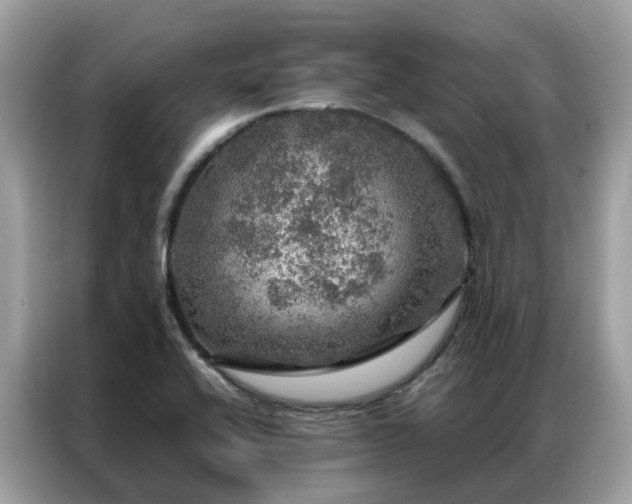 X0000087371416200704271447