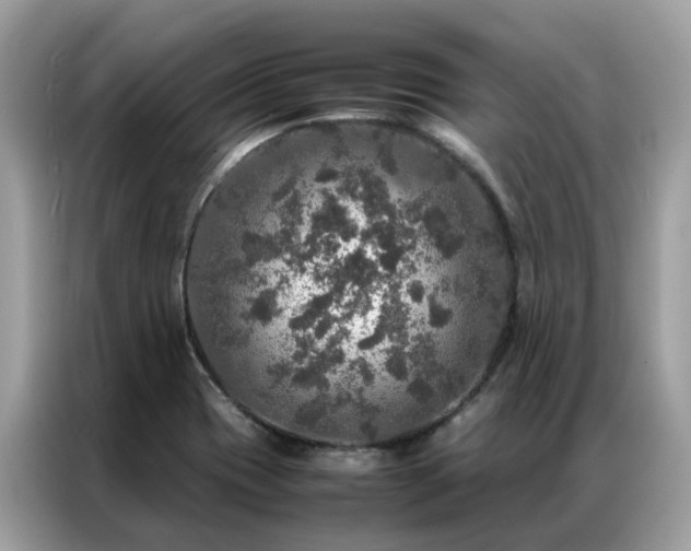 X0000087371417200704271447