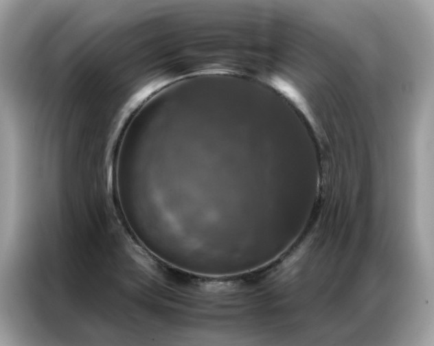 X0000087371419200704271447