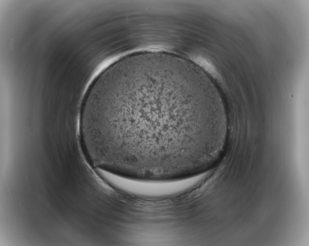 X0000087371420200704271447