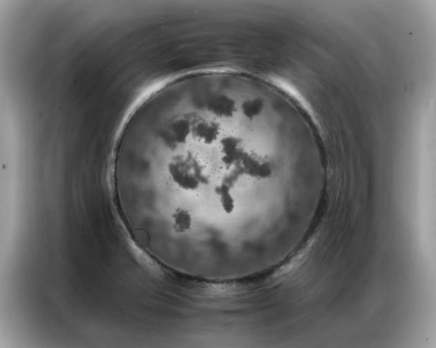 X0000087371421200704271447