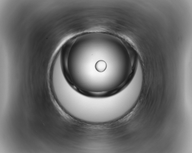 X0000087371422200704271447