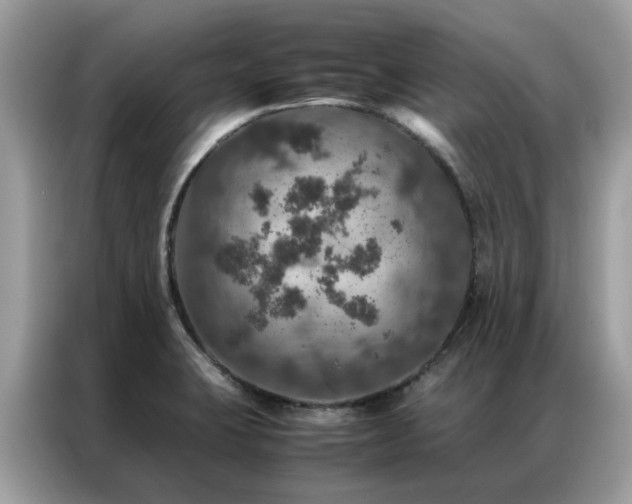 X0000087371423200704271447