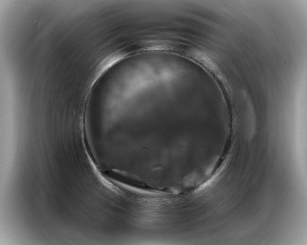 X0000087371425200704271447
