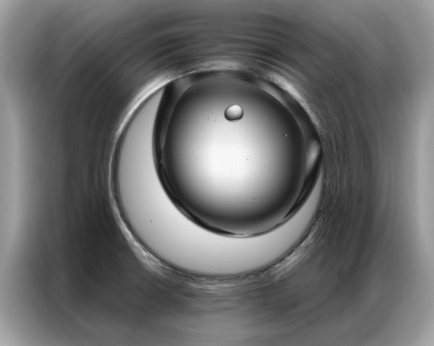 X0000087371426200704271447