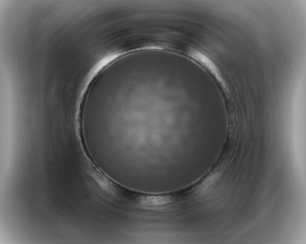 X0000087371427200704271447
