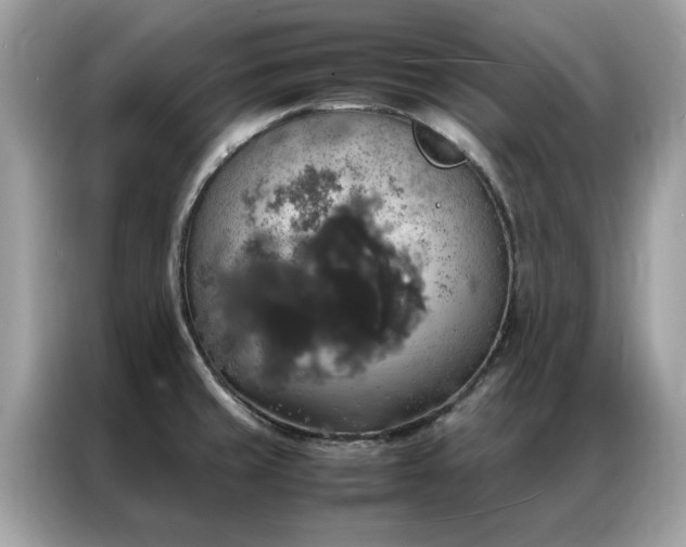 X0000087371429200704271447
