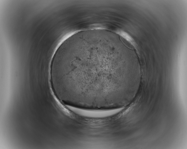 X0000087371431200704271447