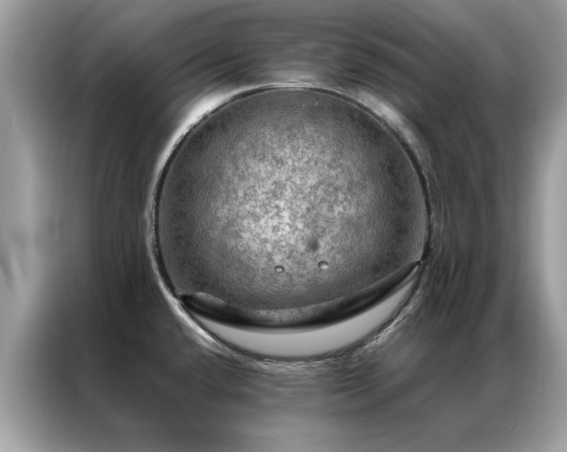 X0000087371432200704271447