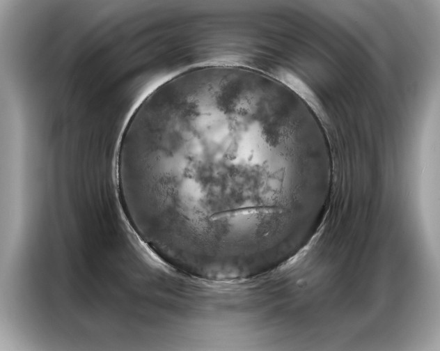 X0000087371436200704271447
