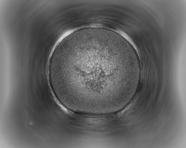 X0000087371437200704271447