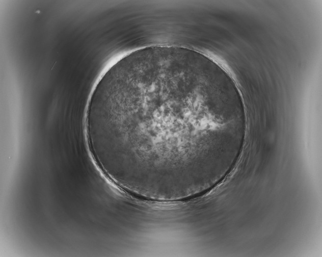 X0000087371440200704271447