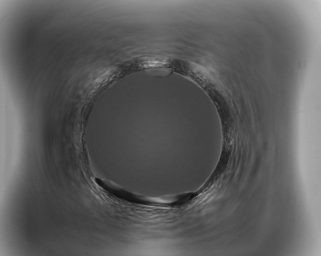 X0000087371441200704271446