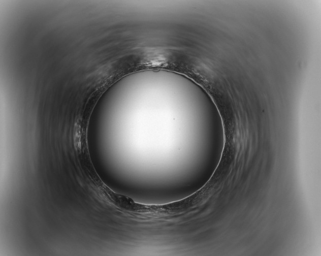 X0000087371442200704271446