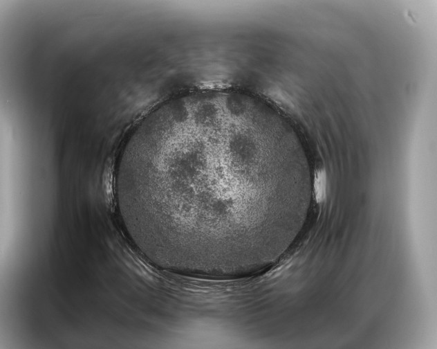 X0000087371444200704271446