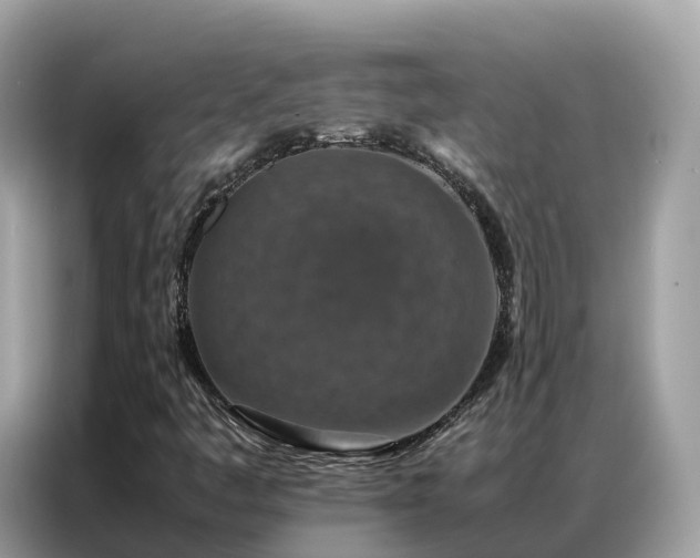X0000087371445200704271446