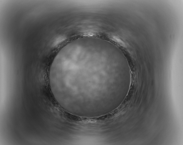 X0000087371446200704271446