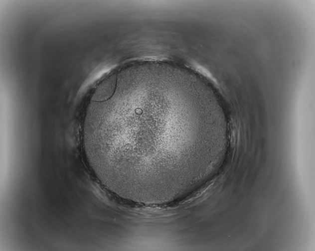 X0000087371448200704271446