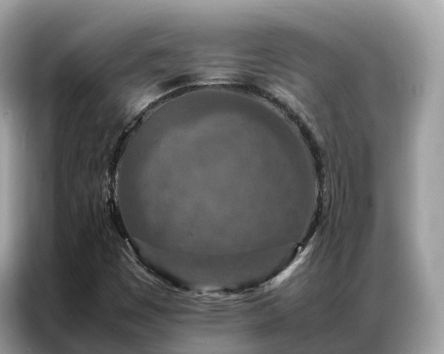 X0000087371449200704271446