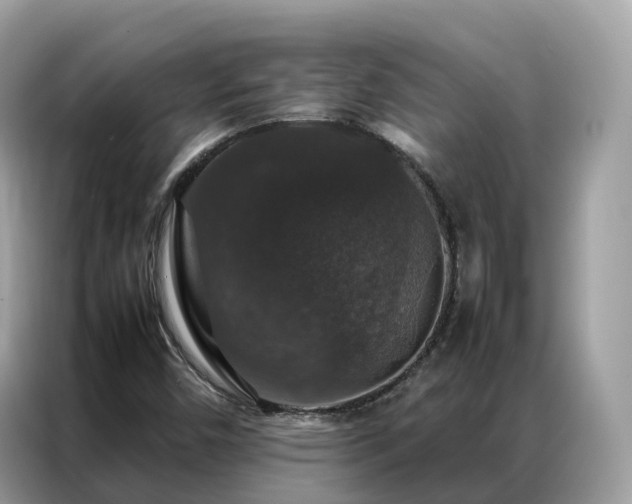 X0000087371450200704271446
