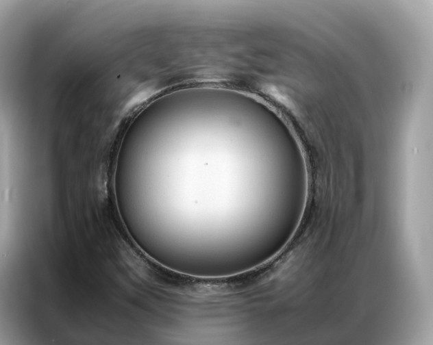 X0000087371451200704271446