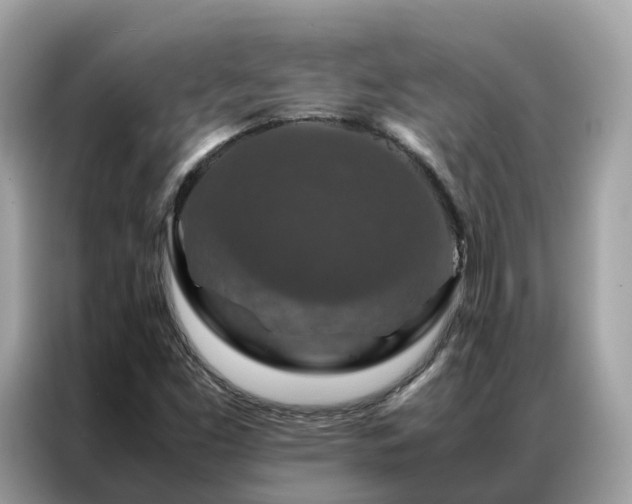 X0000087371453200704271446