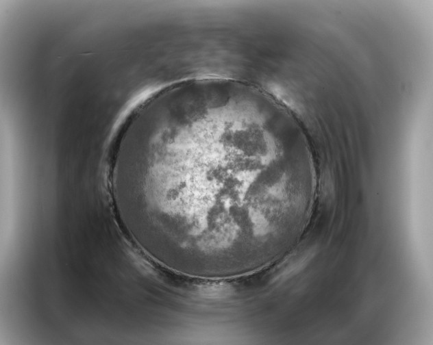 X0000087371454200704271446