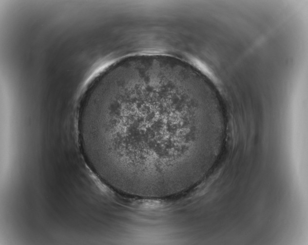 X0000087371456200704271446
