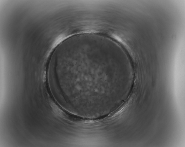 X0000087371459200704271446