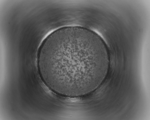 X0000087371460200704271446