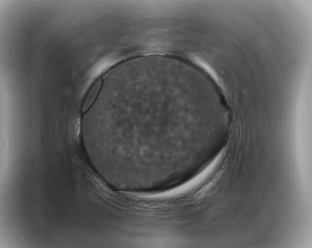 X0000087371461200704271446