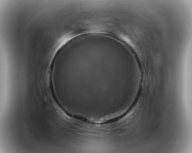X0000087371463200704271446