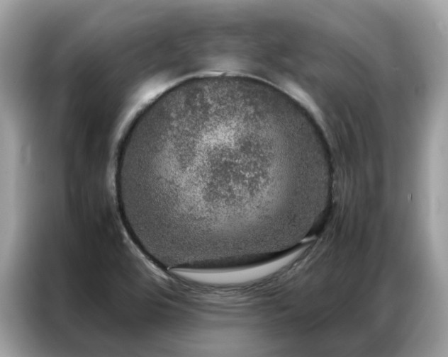 X0000087371464200704271446