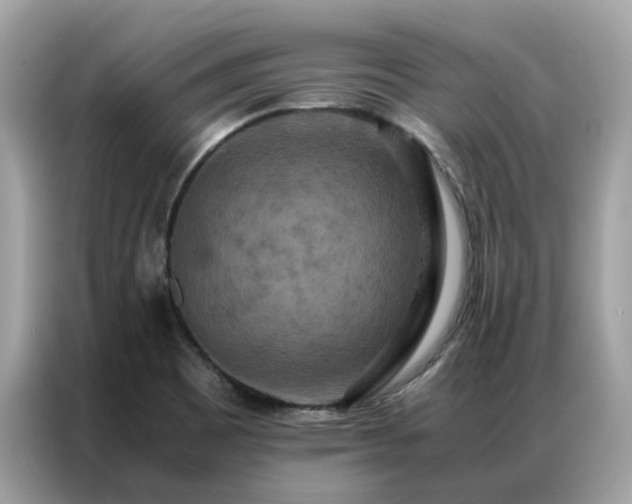 X0000087371465200704271446