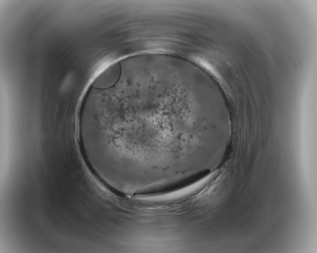 X0000087371467200704271446