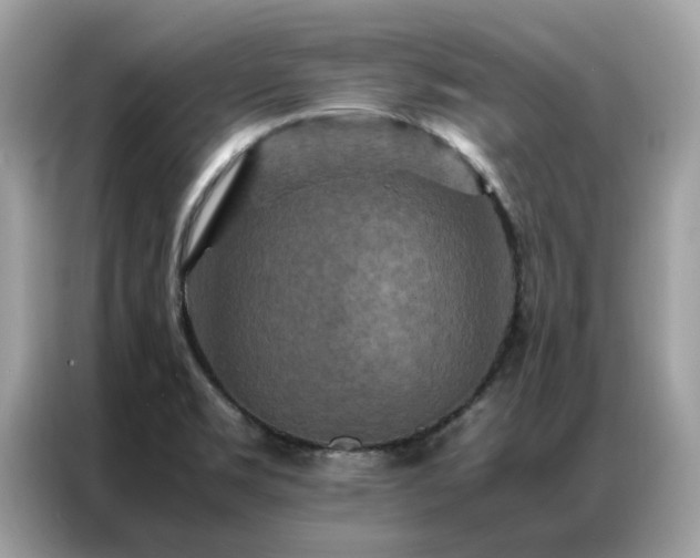 X0000087371469200704271446