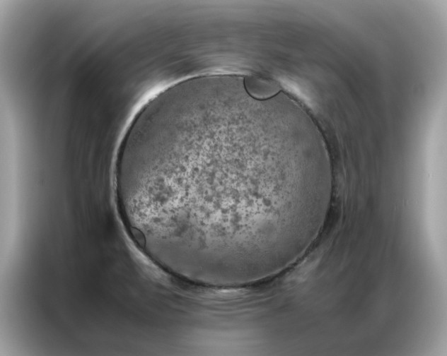 X0000087371471200704271446