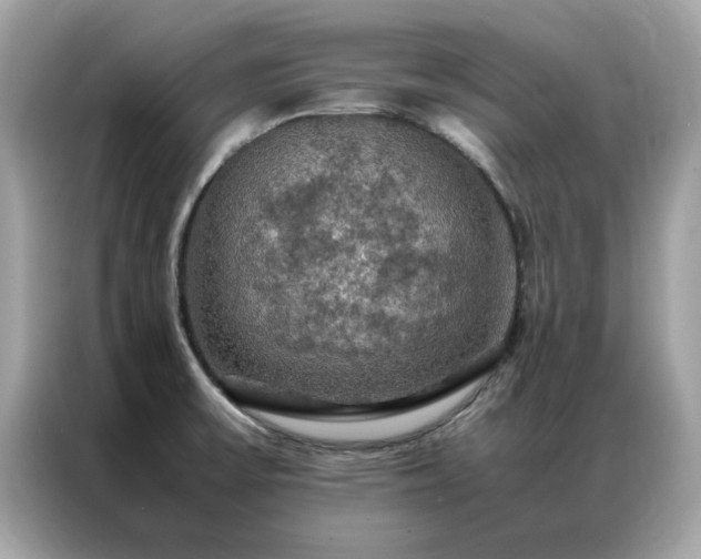X0000087371475200704271446