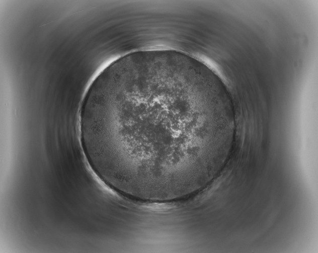 X0000087371476200704271446