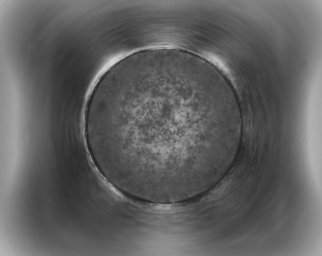 X0000087371480200704271446
