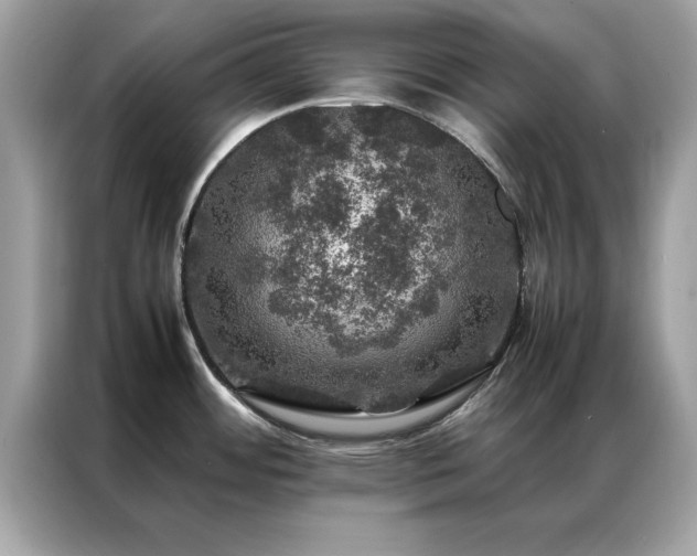 X0000087371484200704271446