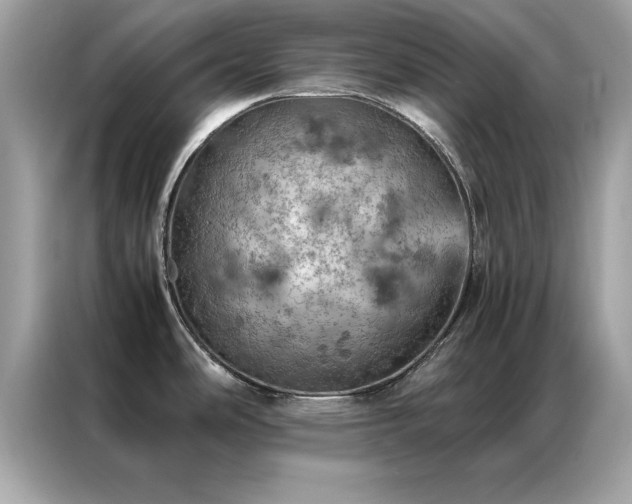 X0000087371486200704271446