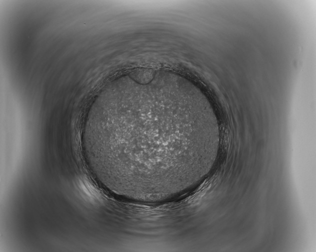 X0000087371489200704271445