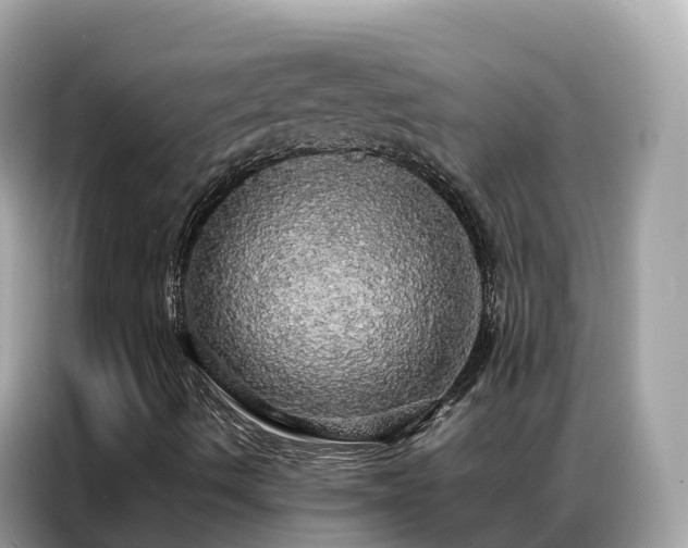 X0000087371490200704271445