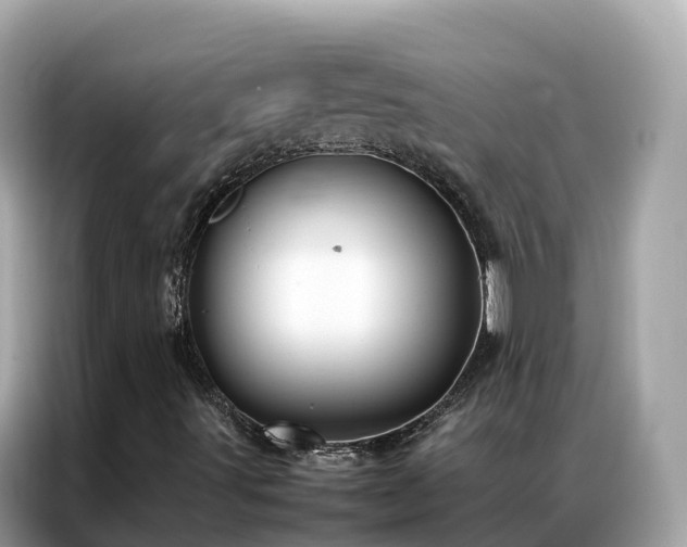 X0000087371491200704271445