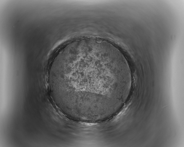 X0000087371494200704271445