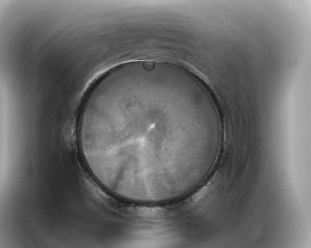 X0000087371498200704271445