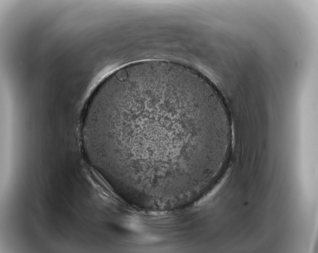 X0000087371501200704271445