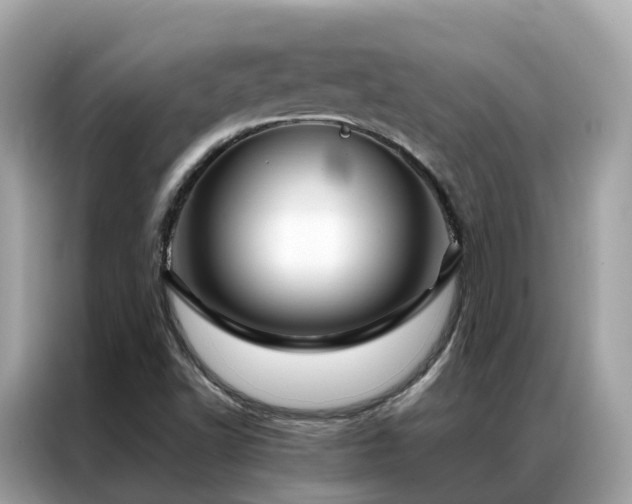 X0000087371502200704271446